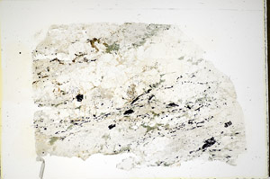 Plane Polarized, S85812