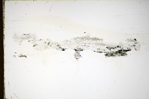 Plane Polarized, S85813