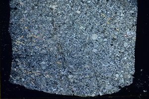 Cross Polarized, S85821