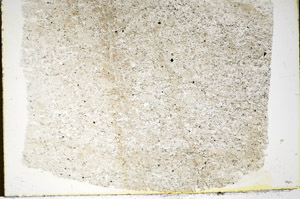 Plane Polarized, S85821