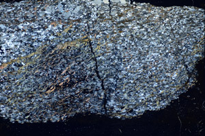 Cross Polarized, S85824
