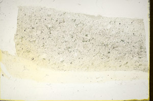 Plane Polarized, S85826