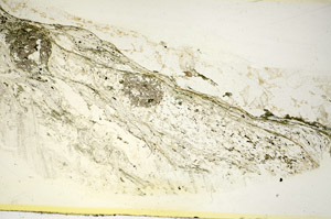Plane Polarized, S85828