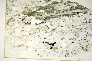 Plane Polarized, S85830