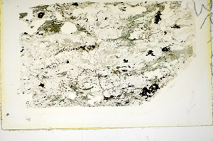 Plane Polarized, S85832