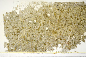 Plane Polarized, S85833