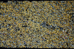 Cross Polarized, S85834