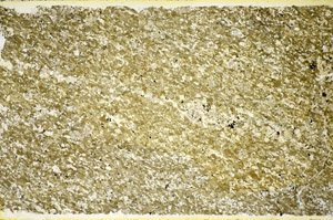 Plane Polarized, S85834