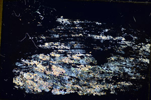 Cross Polarized, S85838