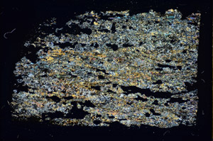 Cross Polarized, S85843