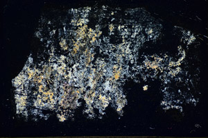 Cross Polarized, S85850