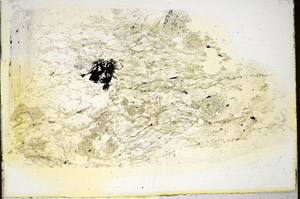 Plane Polarized, S85859