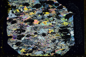 Cross Polarized, S85863