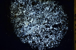 Cross Polarized, S85877