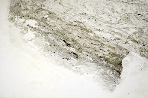 Plane Polarized, S85880
