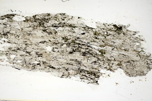 Plane Polarized, S85882