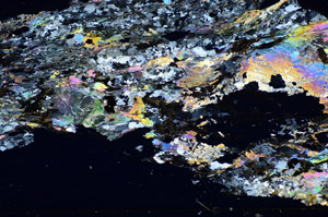 Cross Polarized, S85883
