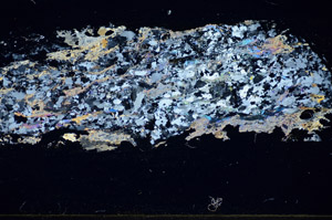 Cross Polarized, S85884