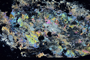 Cross Polarized, S85887