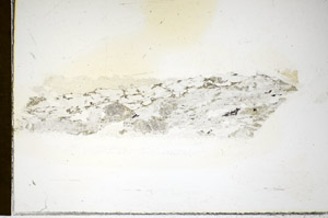 Plane Polarized, S85889