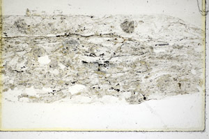Plane Polarized, S85904
