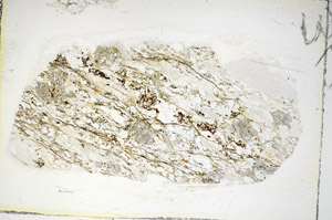 Plane Polarized, S85906
