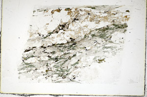 Plane Polarized, S85916