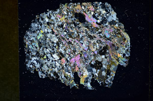 Cross Polarized, S85919