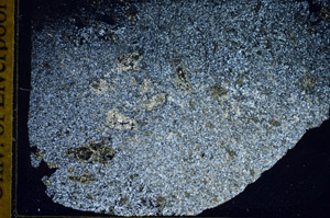 Cross Polarized, S85924