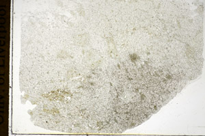 Plane Polarized, S85924
