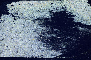 Cross Polarized, S85925
