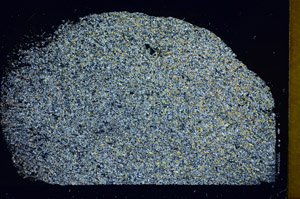 Cross Polarized, S85927
