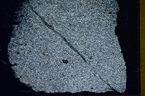 Cross Polarized, S85929