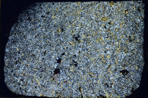 Cross Polarized, S85931