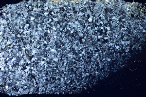 Cross Polarized, S85933