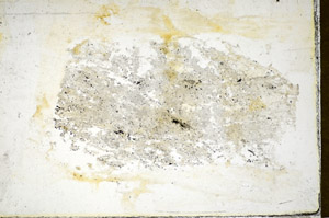 Plane Polarized, S85935