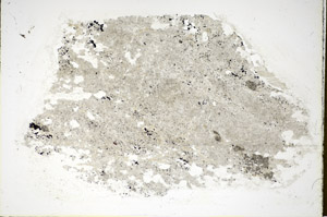 Plane Polarized, S85935/A
