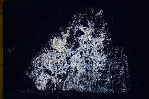Cross Polarized, S85936