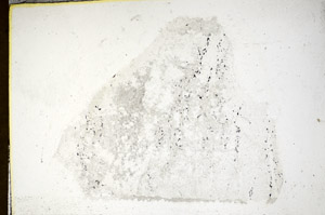 Plane Polarized, S85936