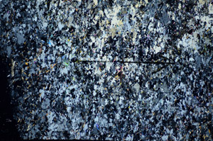 Cross Polarized, S85977