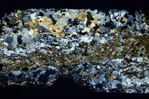 Cross Polarized, S85980