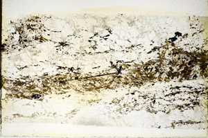 Plane Polarized, S85980