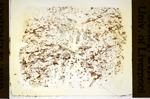 Plane Polarized, S85982