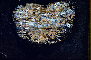 Cross Polarized, S85985