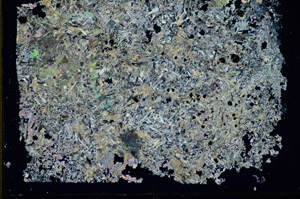 Cross Polarized, S85988