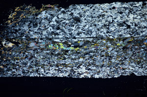 Cross Polarized, S85989