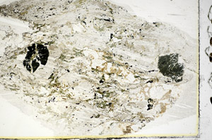 Plane Polarized, S85993