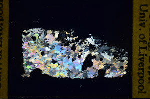 Cross Polarized, S85995