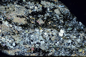 Cross Polarized, S85997