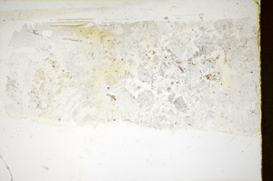 Plane Polarized, S86015